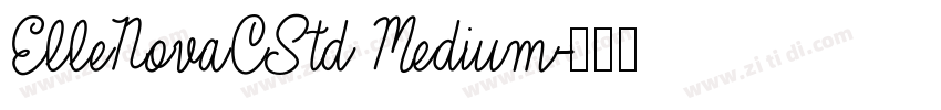 ElleNovaCStd Medium字体转换